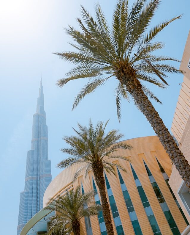 toa-heftiba-MYft5prK1D4-unsplash